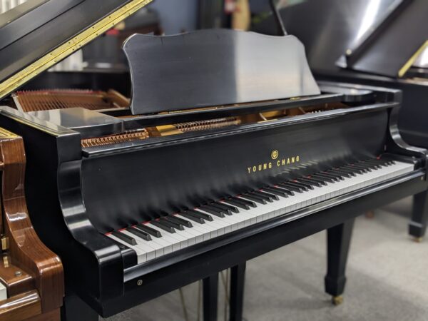 Young Chang G-157 Grand in Satin Ebony