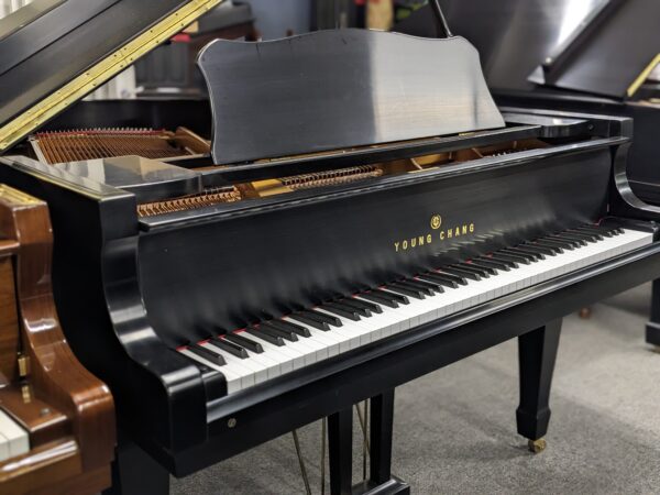 Young Chang G-157 Grand in Satin Ebony - Image 4