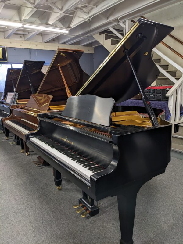 Young Chang G-157 Grand in Satin Ebony - Image 3