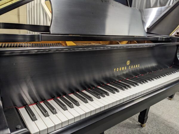 Young Chang G-157 Grand in Satin Ebony - Image 2