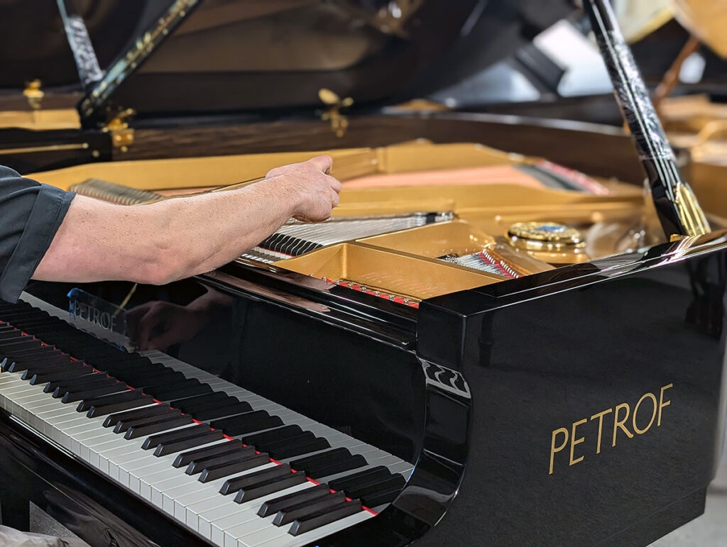 PXL_20240911_180134743.PORTRAIT_1200px