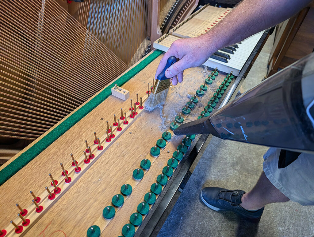 PXL_20240911_182106536.MP_1200px