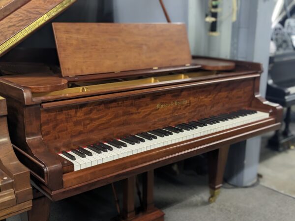 Mason & Hamlin Model AA Grand Piano in Exotic Mahogany - Image 4
