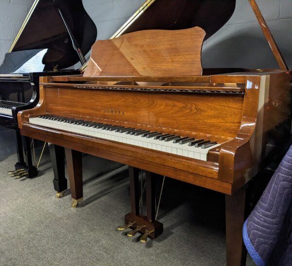Yamaha GH1 Baby Grand in High Polished Mahogany