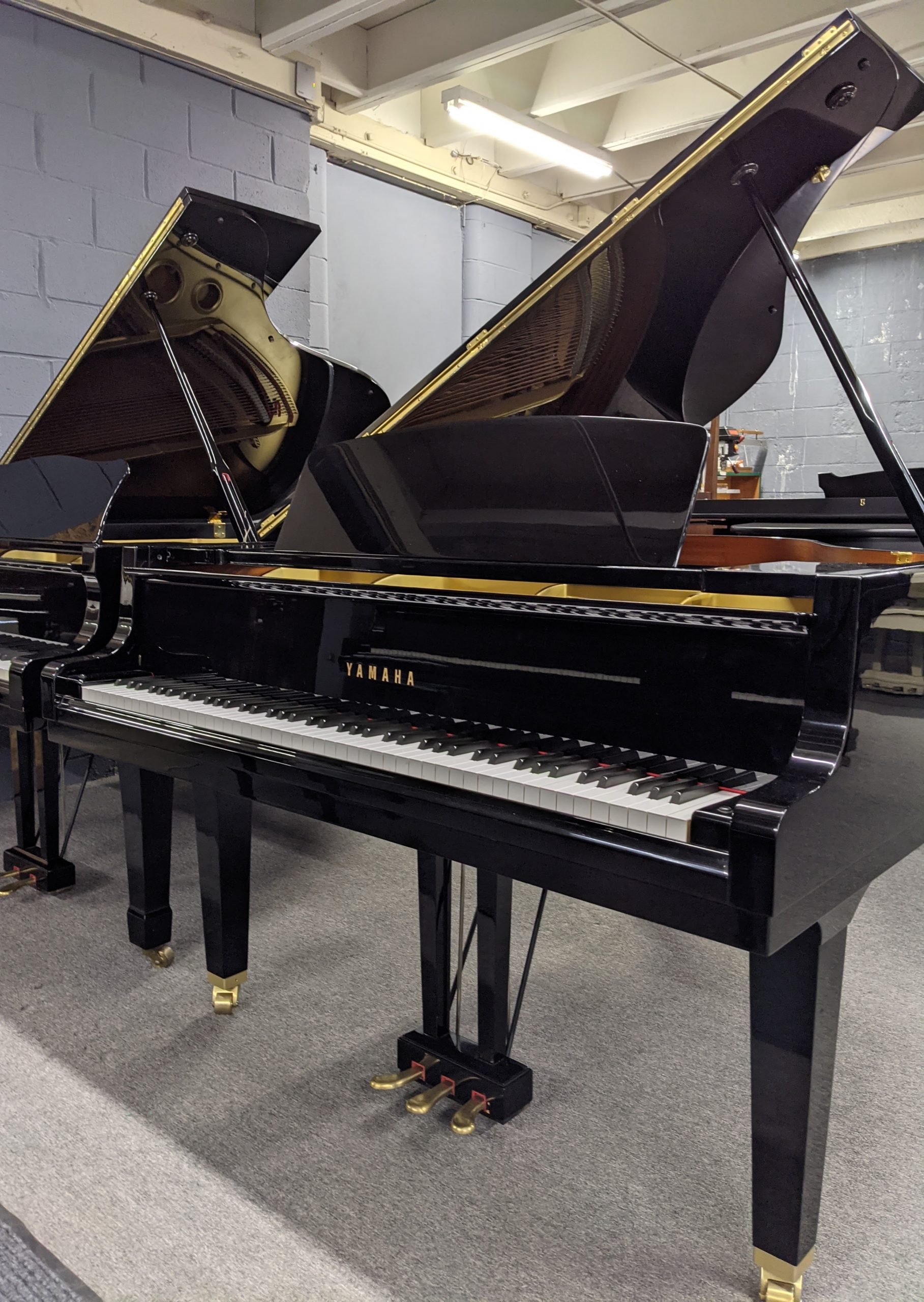 Yamaha GP1 in High Polished Ebony