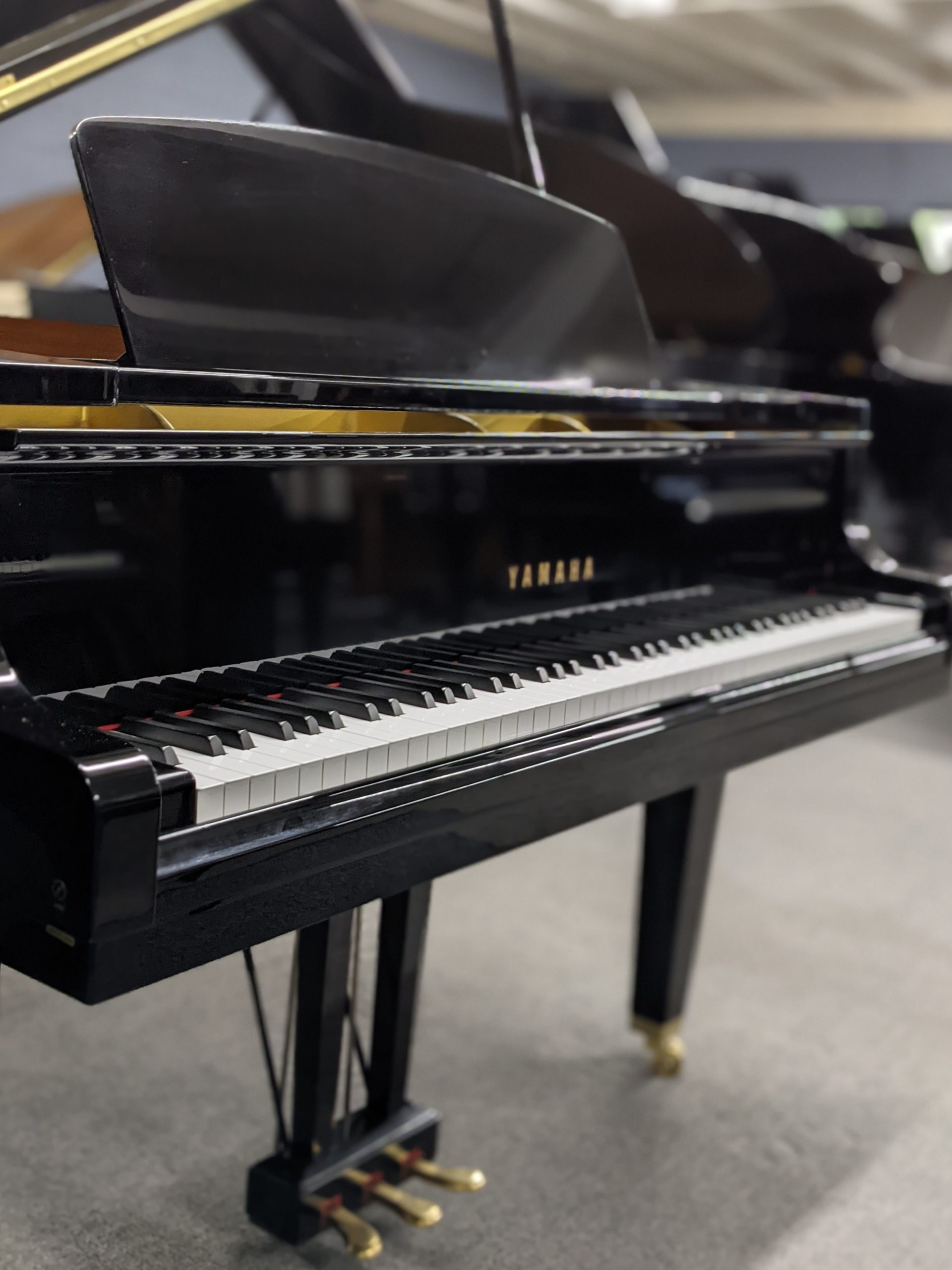 Yamaha GP1 in High Polished Ebony - Image 2