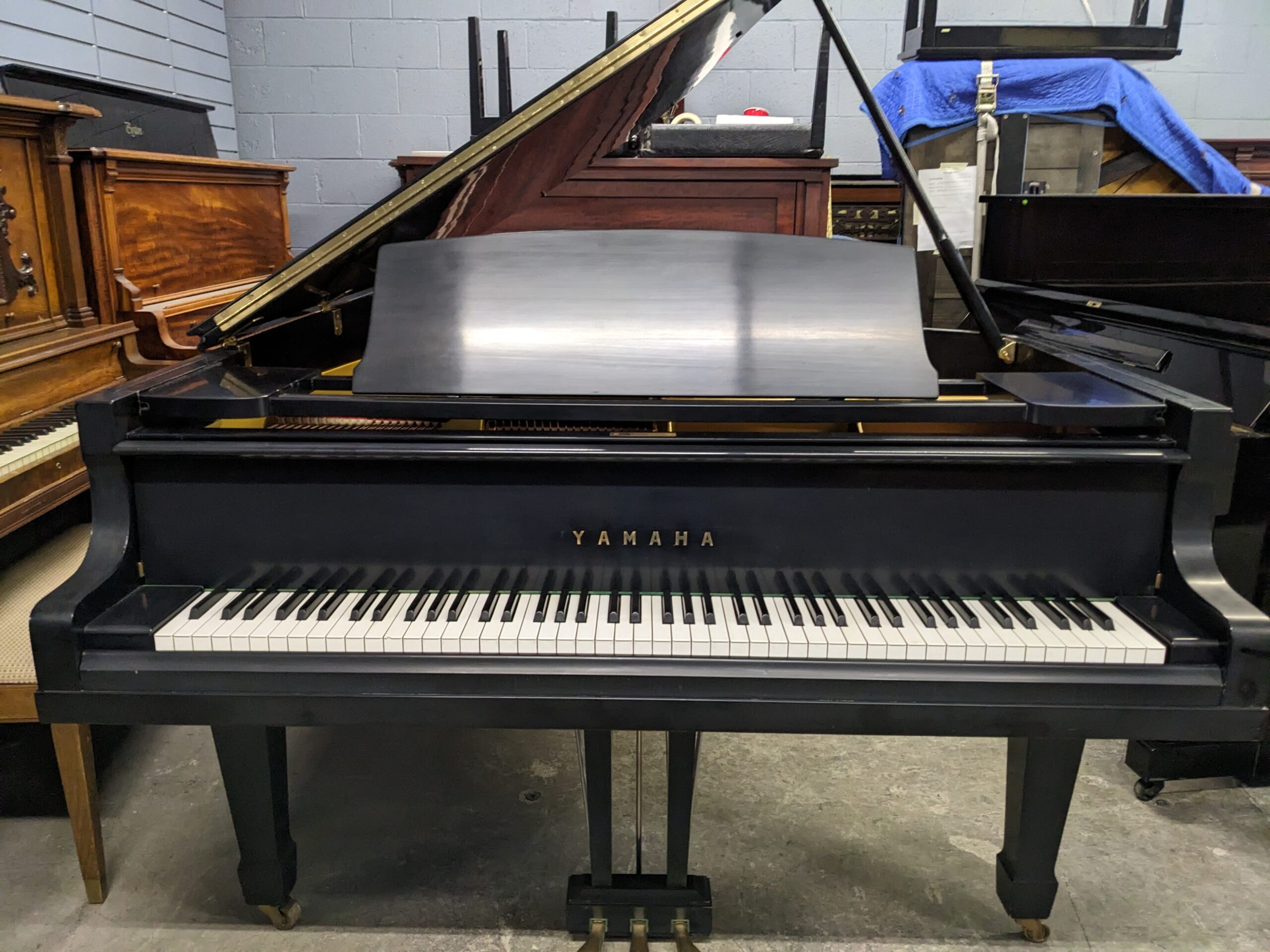 Yamaha G7 Grand in Satin Ebony - Image 2