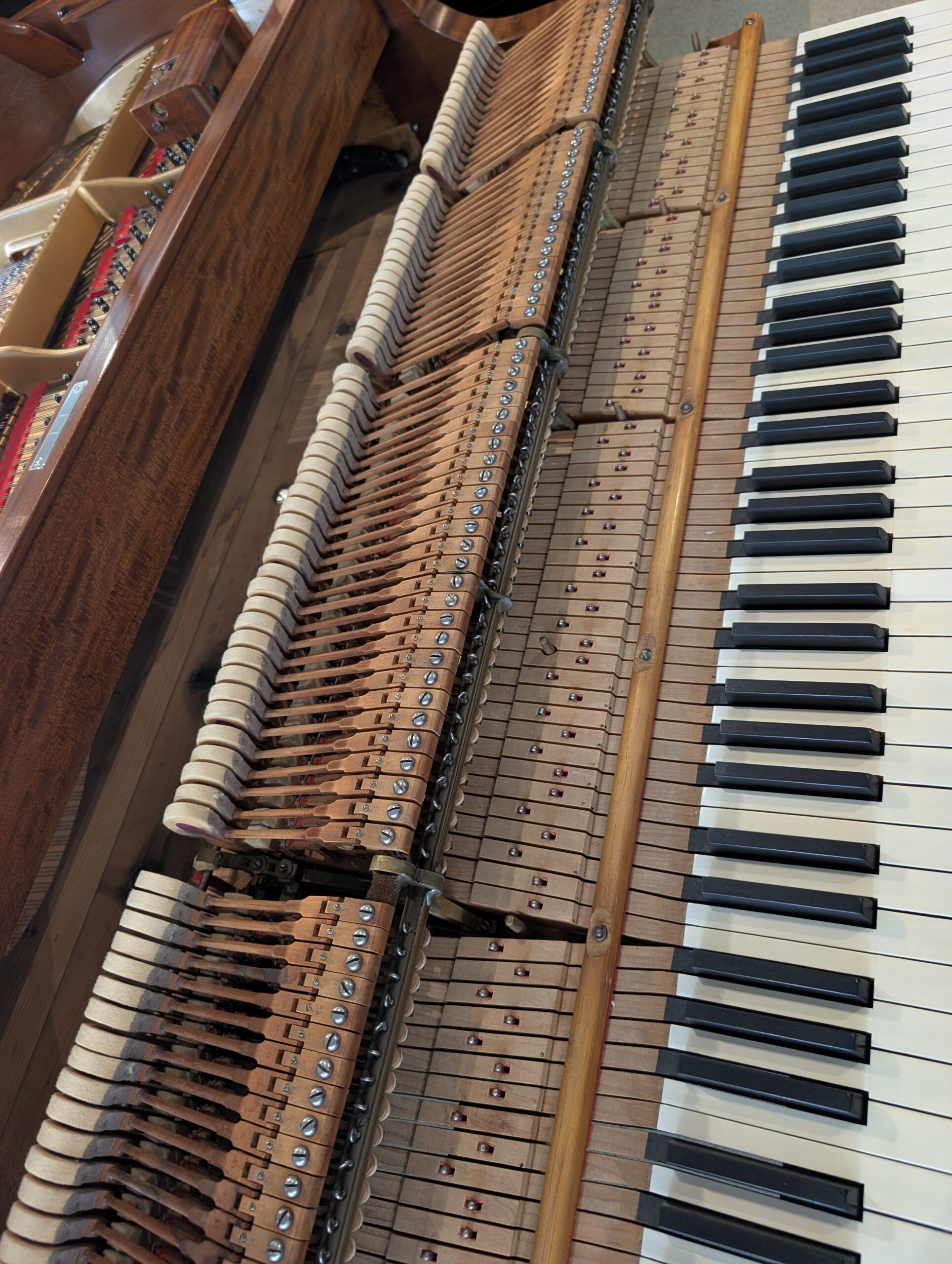 Steinway Model L Grand Piano in Mahogany # 263661 - Image 7