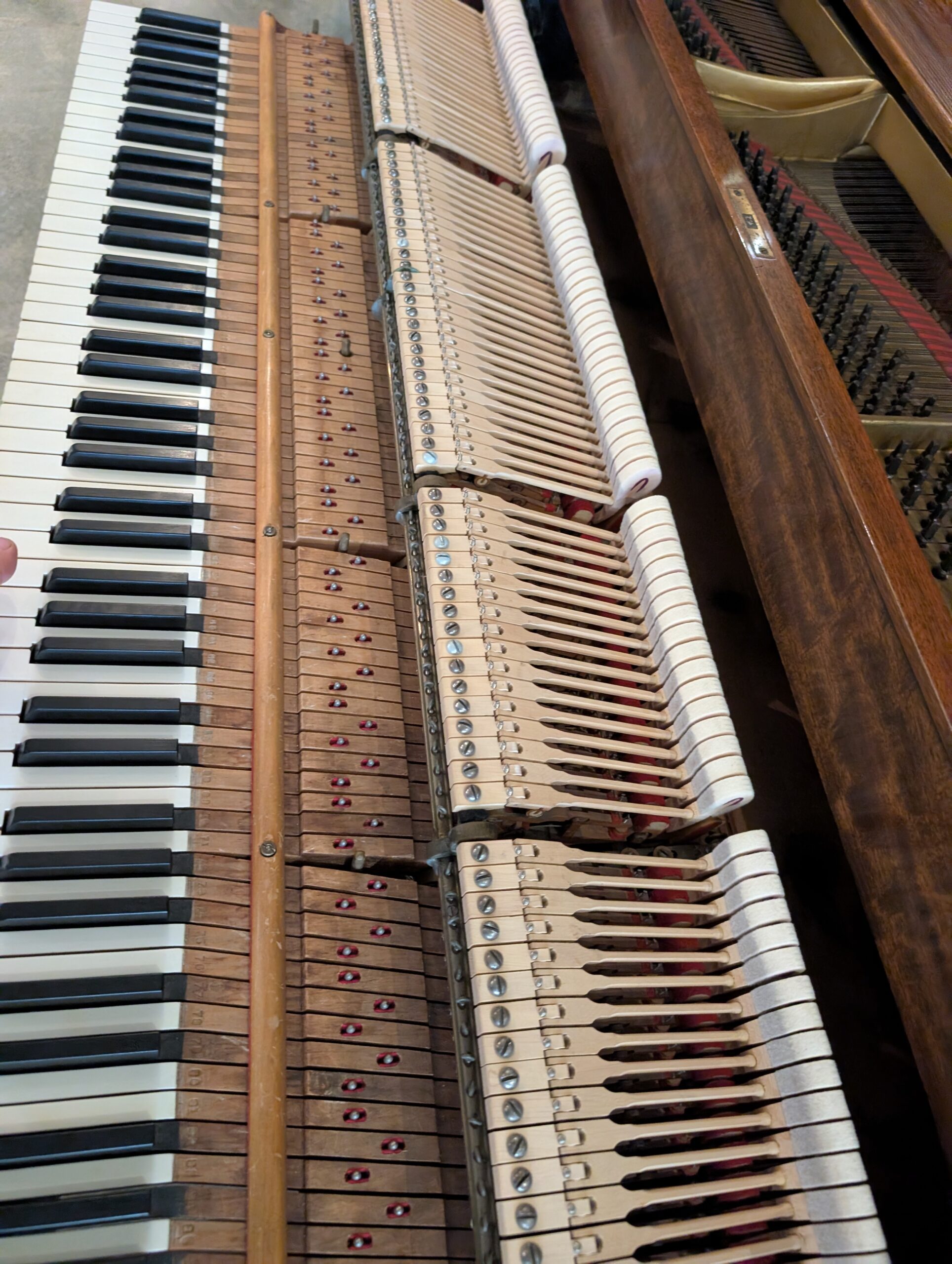 Steinway Model L Grand Piano in Mahogany # 263661 - Image 6