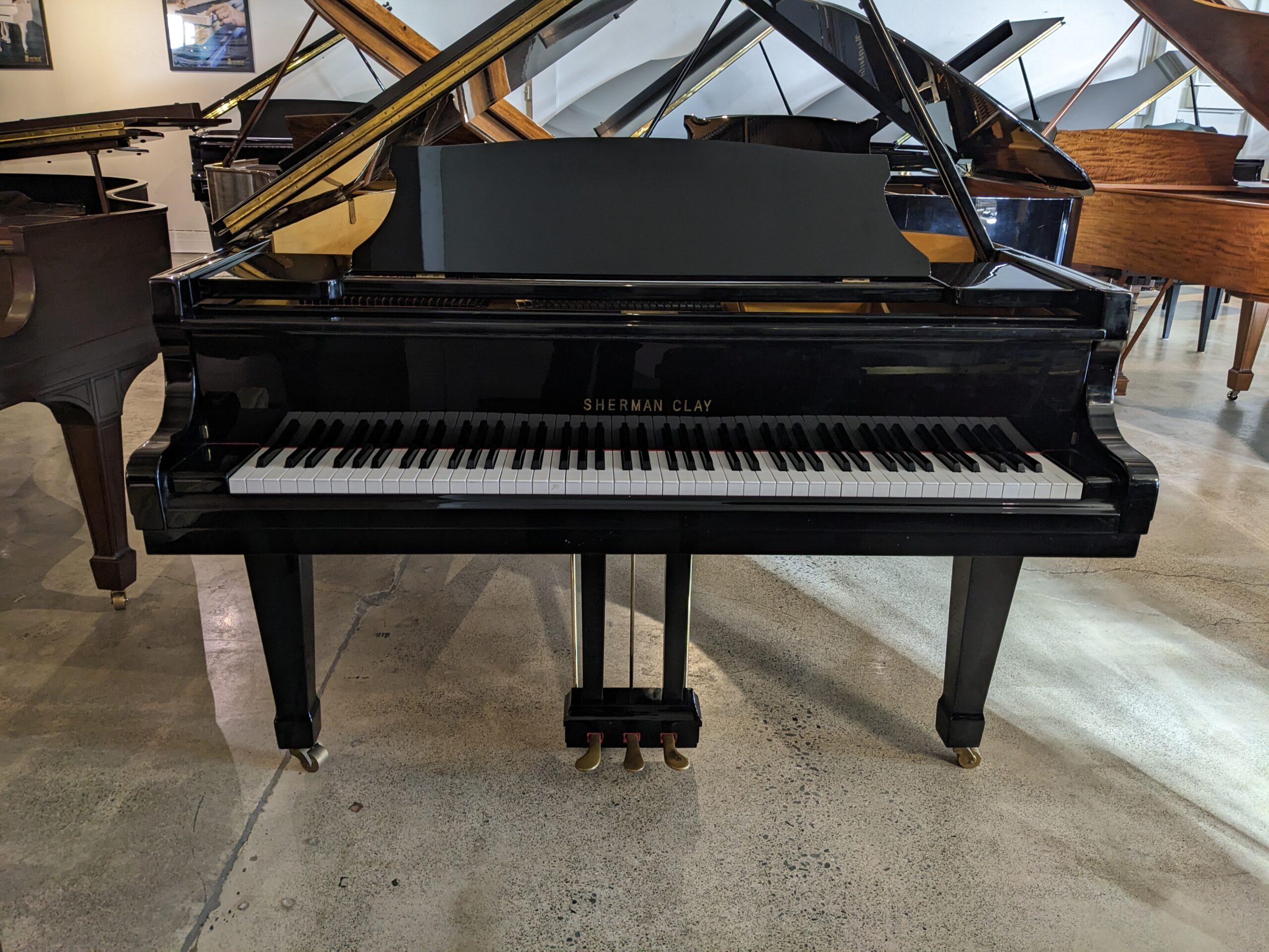 Sherman and Clay Grand Piano in High Polished Ebony
