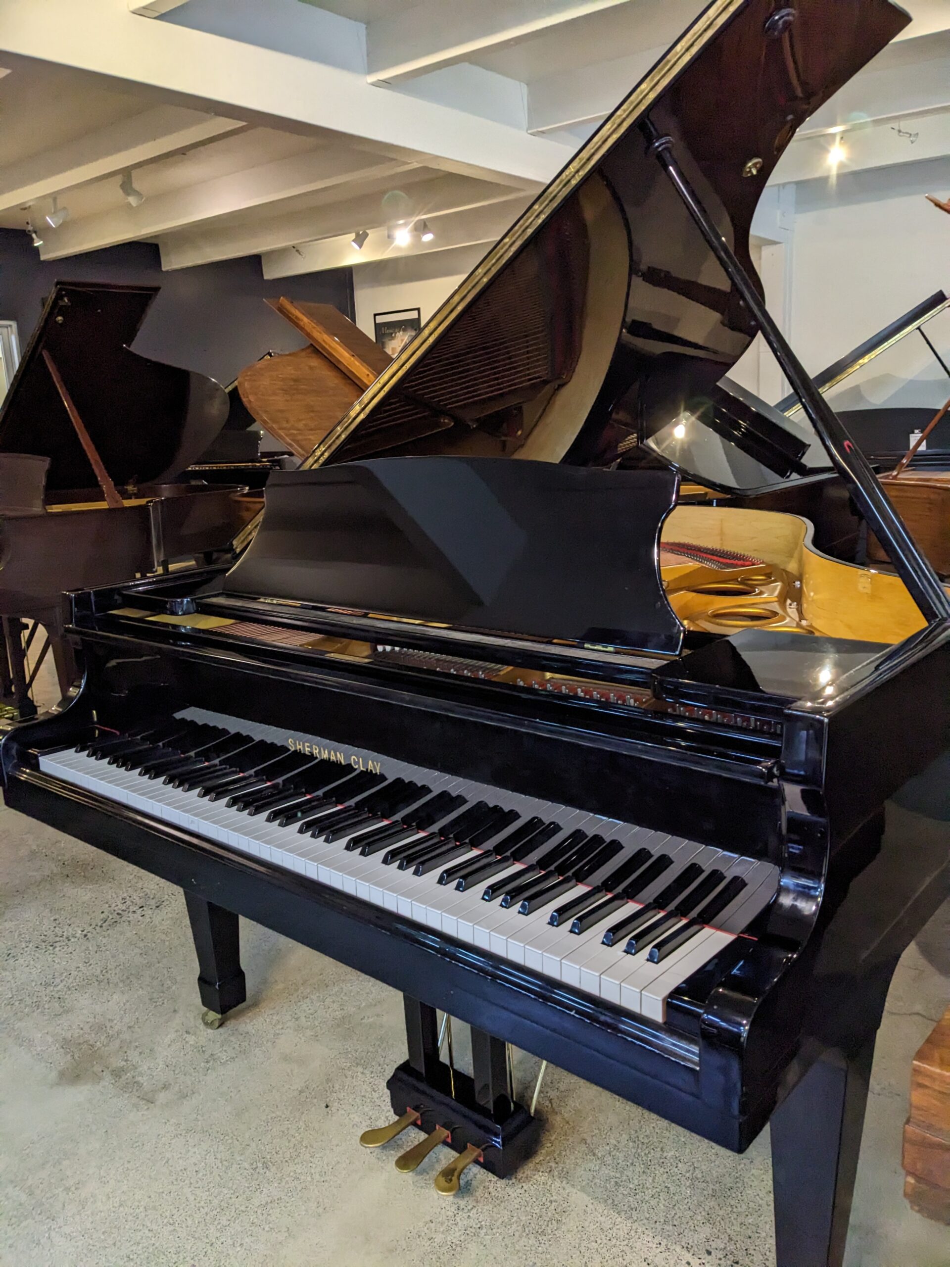 Sherman and Clay Grand Piano in High Polished Ebony - Image 3