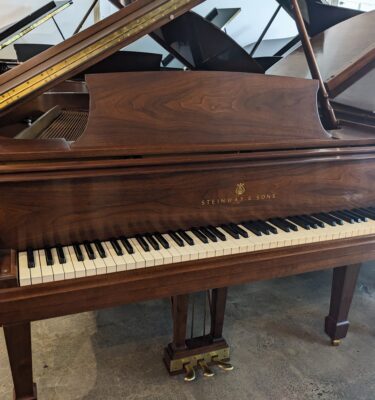 Steinway Model M Grand Piano in Walnut #435883