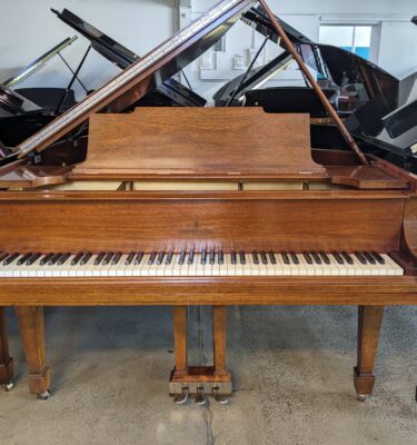 Steinway Model M Grand Piano in Walnut #234294